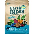 Earthborn Holistic Salmon Flavored Crunchy Dog Treats, 2-lb bag