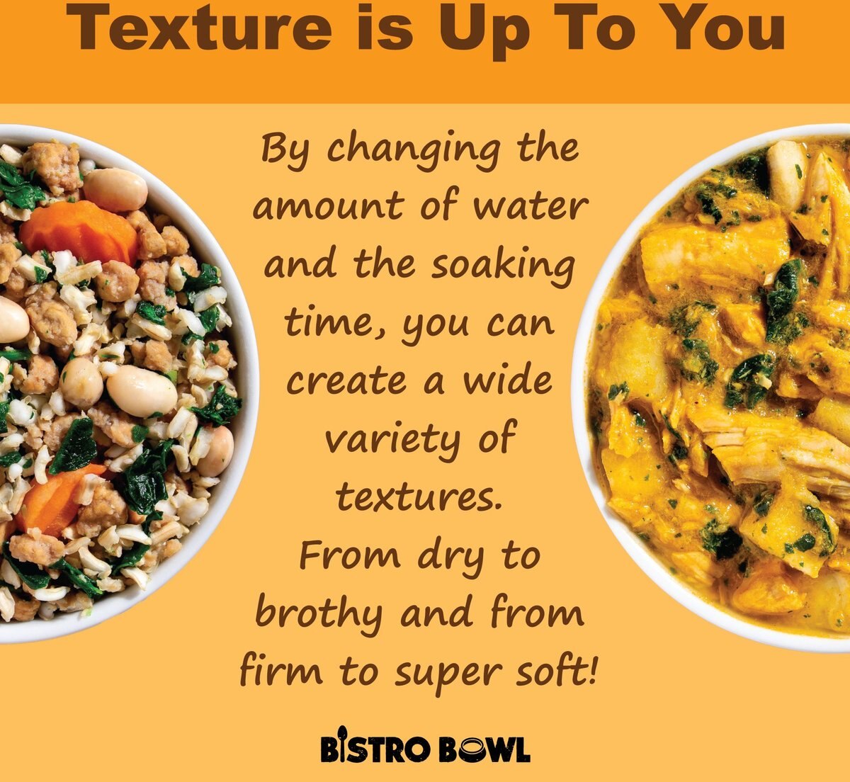 WHOLE LIFE Bistro Bowls Classic Pasta Flavored Dog Food Topper, 16oz