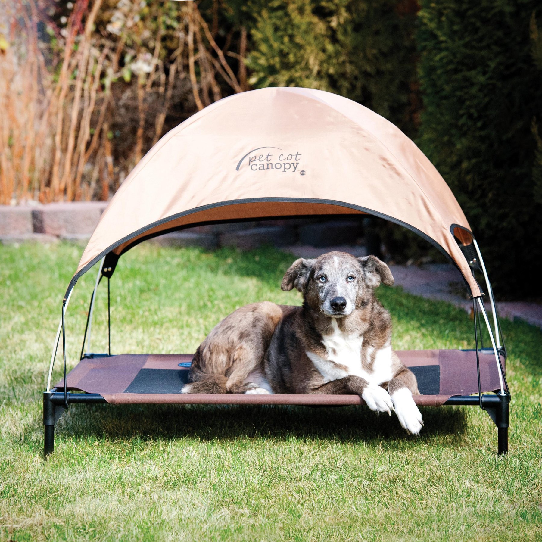 Outdoor dog cot with canopy hotsell