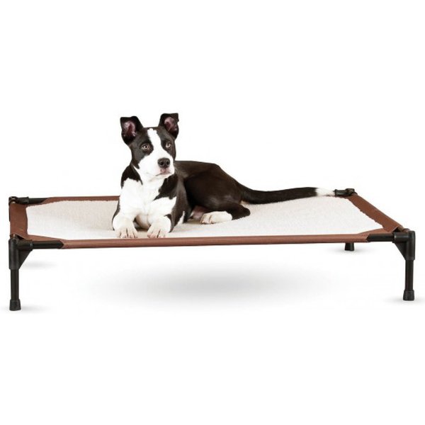 HDP Padded Napper Elevated Dog Bed, Blue, Medium