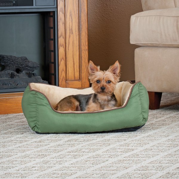 ASPEN PET Bolster Cat & Dog Bed, Color Varies
