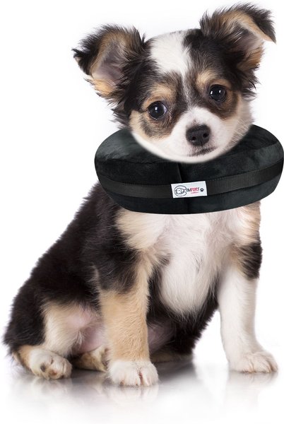  Health Supplies - Dogs: Pet Supplies: Recovery Collars & Cones,  Supplements & Vitamins, Dental Care & More