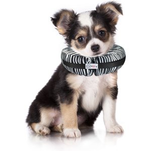 Comfurt Collar Dog & Cat Recovery Collar, XX-Small, Zebra
