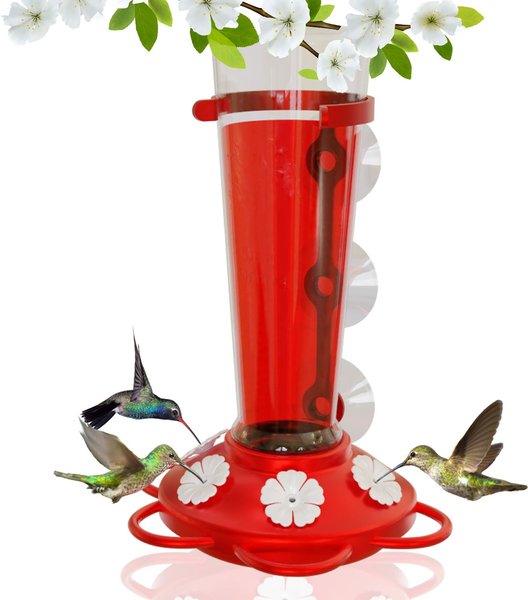 Nature Anywhere Window Hummingbird for Outdoors Bird Feeder slide 1 of 9
