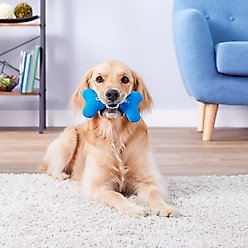 Multipet Chilly Bone Dog Chew Toy, Color Varies, Medium slide 2 of 5