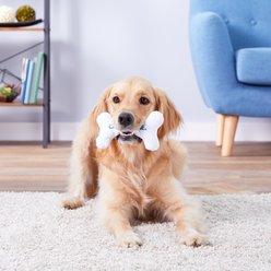 Multipet Chilly Bone Dog Chew Toy, Medium slide 2 of 3