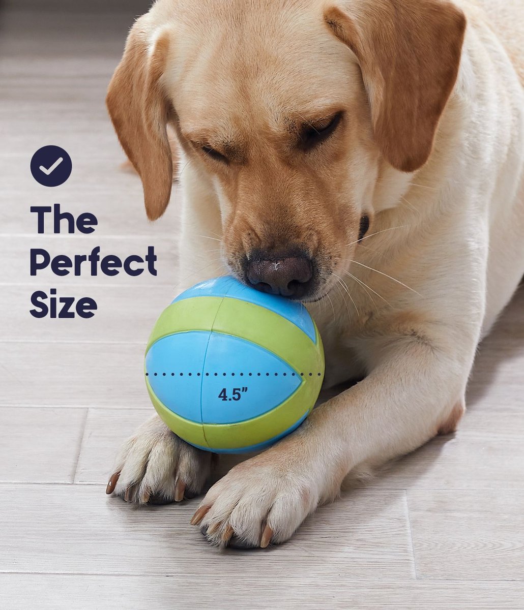 PETSTAGES Gravity Ball Rolling Treat Stuffer Squeaky Interactive Dog