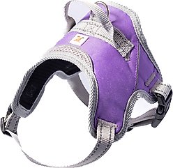 Doggy Tales Patented Classic Hart Dog Harness, Purple, 35