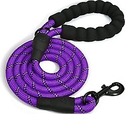 Doggy Tales Braided Dog Leash, 5-ft, Purple