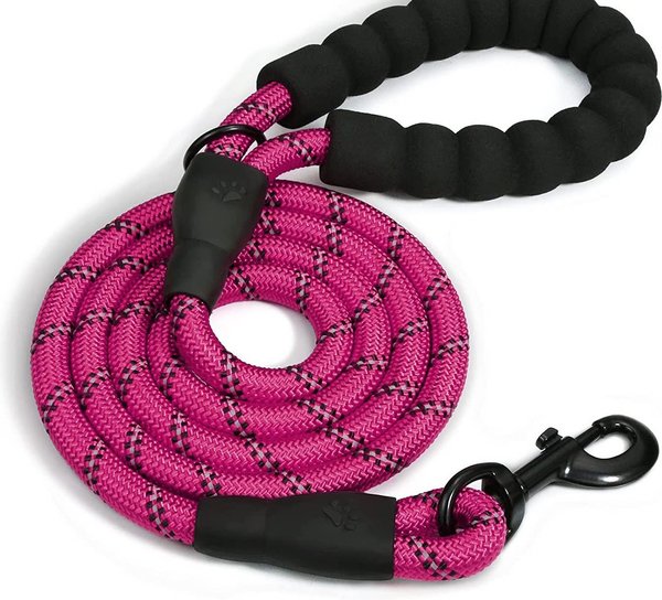 Doggy Tales Braided Dog Leash, 5-ft, Hot pink slide 1 of 1