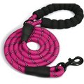 Doggy Tales Braided Dog Leash, 5-ft, Hot pink