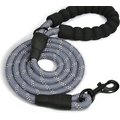 Doggy Tales Braided Dog Leash, 5-ft, Gray