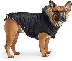 GF Pet Elasto-Fit Urban Insulated Dog Parka, Black, Small