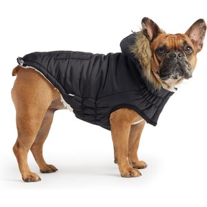 GF Pet Elasto-Fit Urban Insulated Dog Parka, Black, Medium