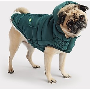 GF Pet Super Puff Insulated Dog Parka, Teal, Large