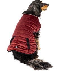PetRageous Designs Acadia Dog Puffer Coat, Orange, Large