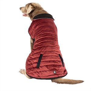 PetRageous Designs Acadia Dog Puffer Coat, Orange, XX-Large