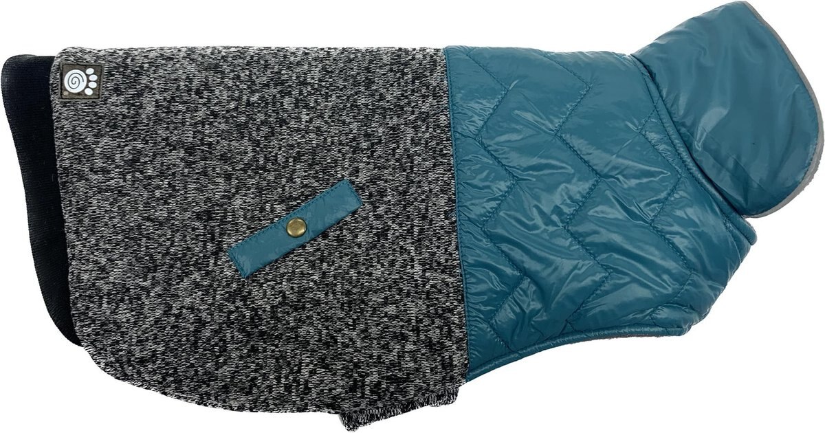 PetRageous Designs Madison Dog Parka