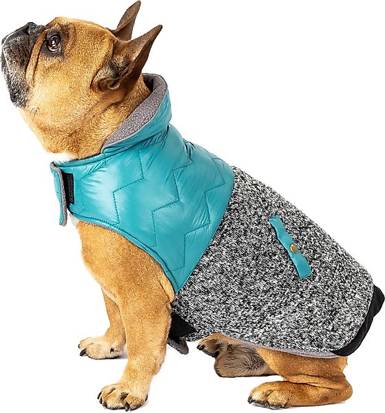 PETRAGEOUS DESIGNS Colorblock Radiator Fleece Dog Puffer Coat, Teal