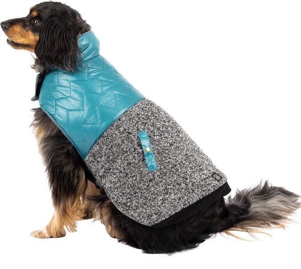 Petrageous designs 2024 dog coats