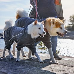 Hurtta Midlayer Overall Dog Coat, Blackberry, 22-in slide 2 of 4