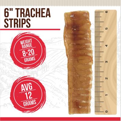 Show full view: Best Dog Chews Trachea Flats Beef Flavored Dog Chews, 12 count slide 3 of 7