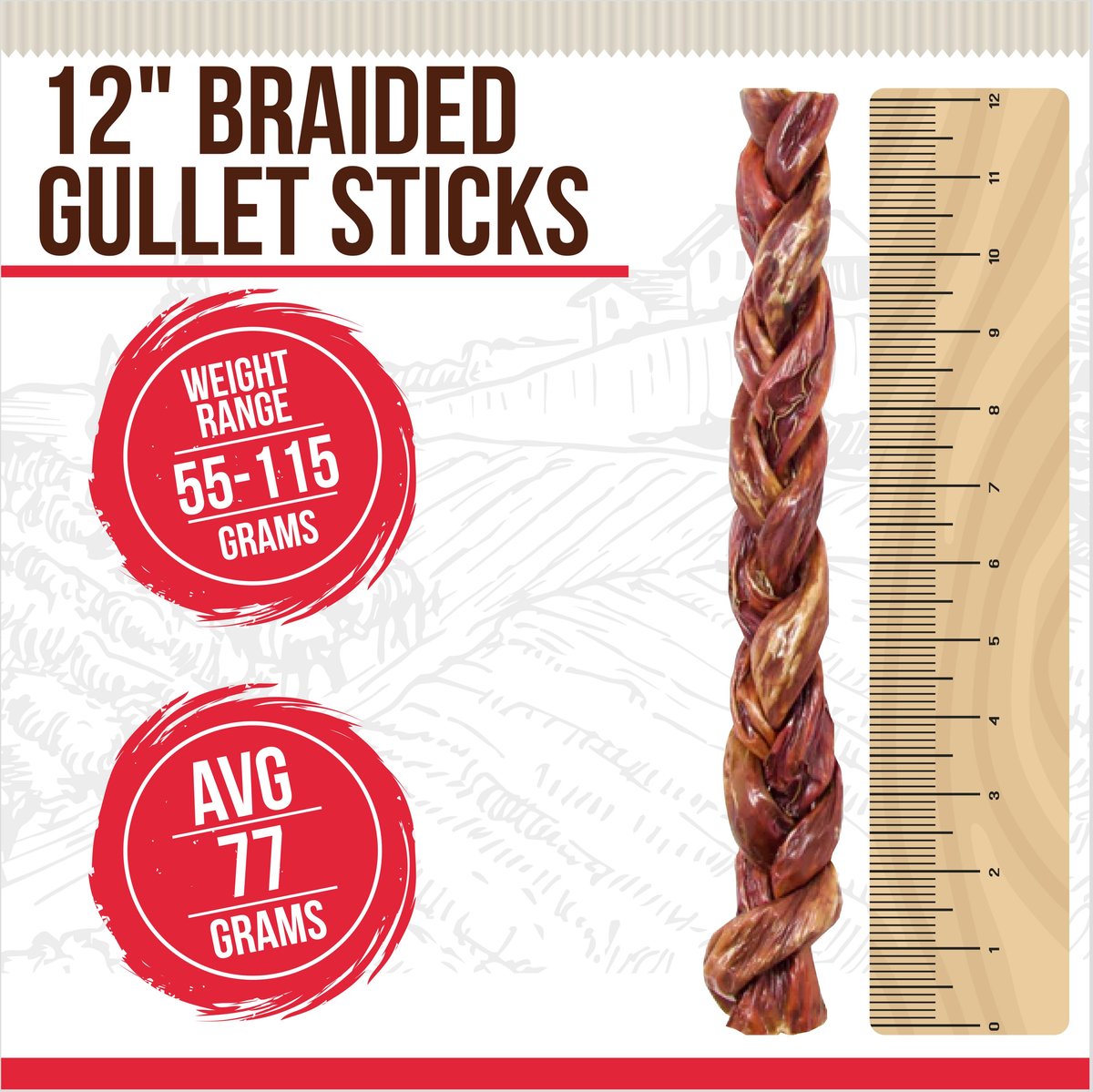 BEST DOG CHEWS Braided Gullet Beef Flavored 12in Dog Chews, 2 count