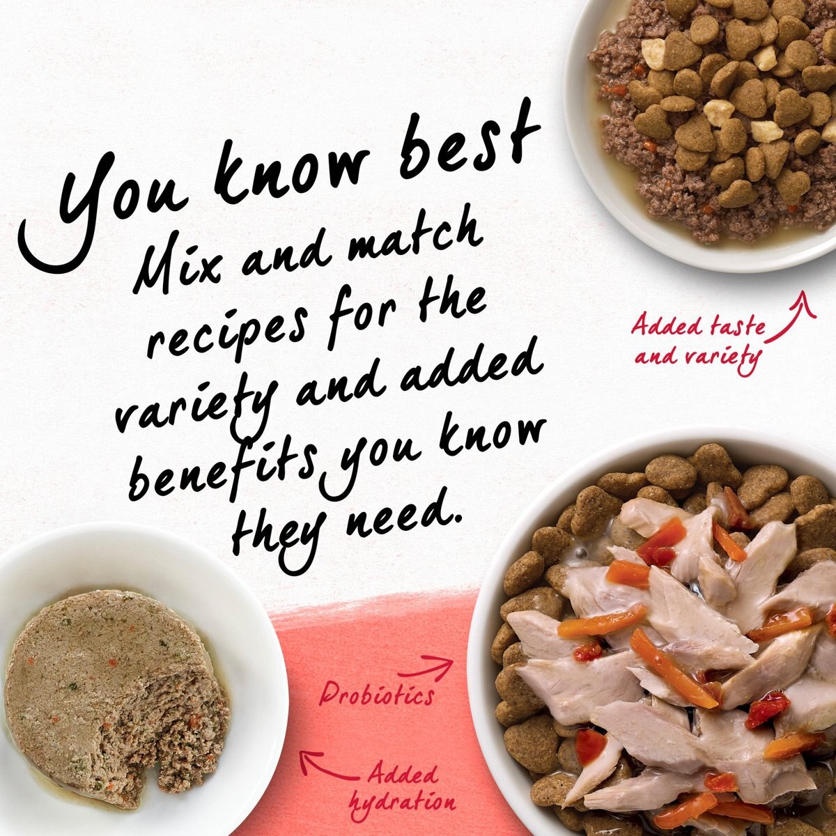 Purina Muse MasterPieces Natural Salmon & Chicken Recipe Dry Cat Food