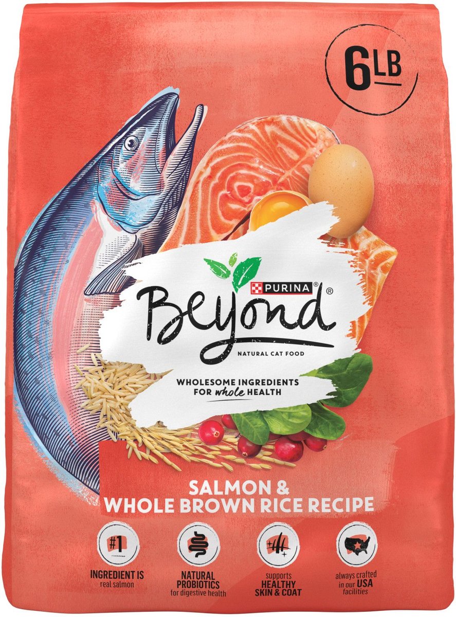 Beyond salmon sale cat food