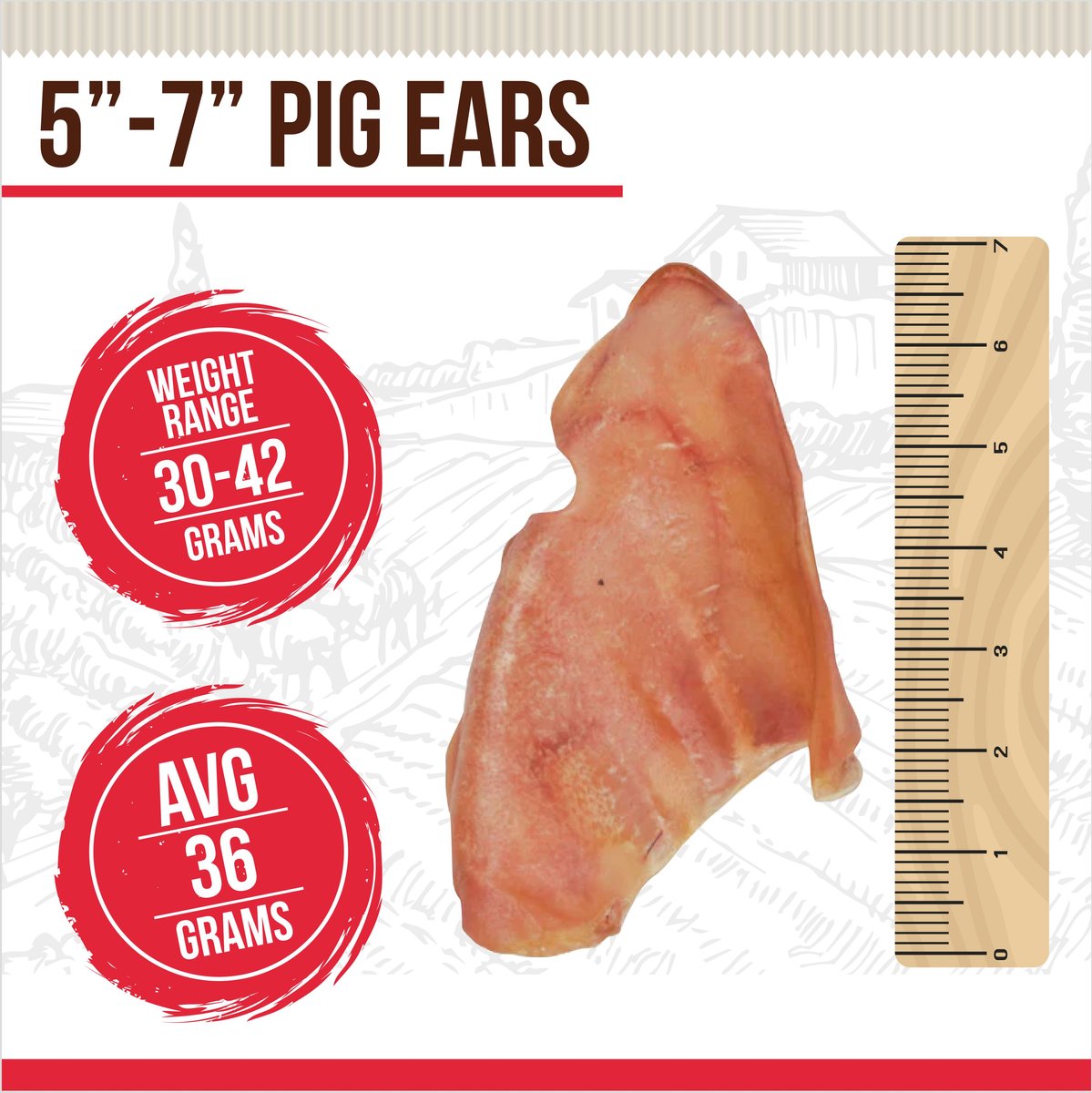 BEST DOG CHEWS Treats Pig Ears Dog Treats, 6 count