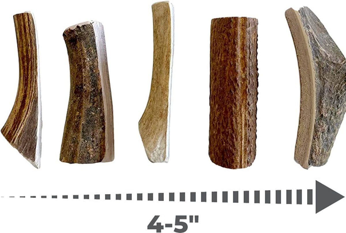 BEST DOG CHEWS Whole Elk Antler Dog Treats, 1 count, Small