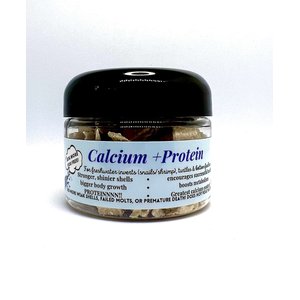 KatsAquatics Calcium + Protein Tablets Fish Food, 1.7-oz jar