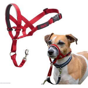 Halti Nylon Padded No Pull Dog Headcollar, Red, Size 1