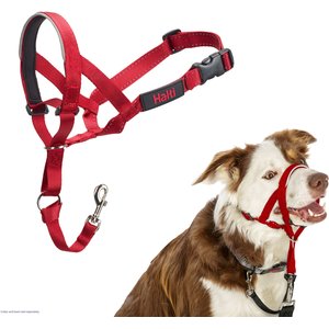 Halti Headcollar Dog Harness, Red, Size 2