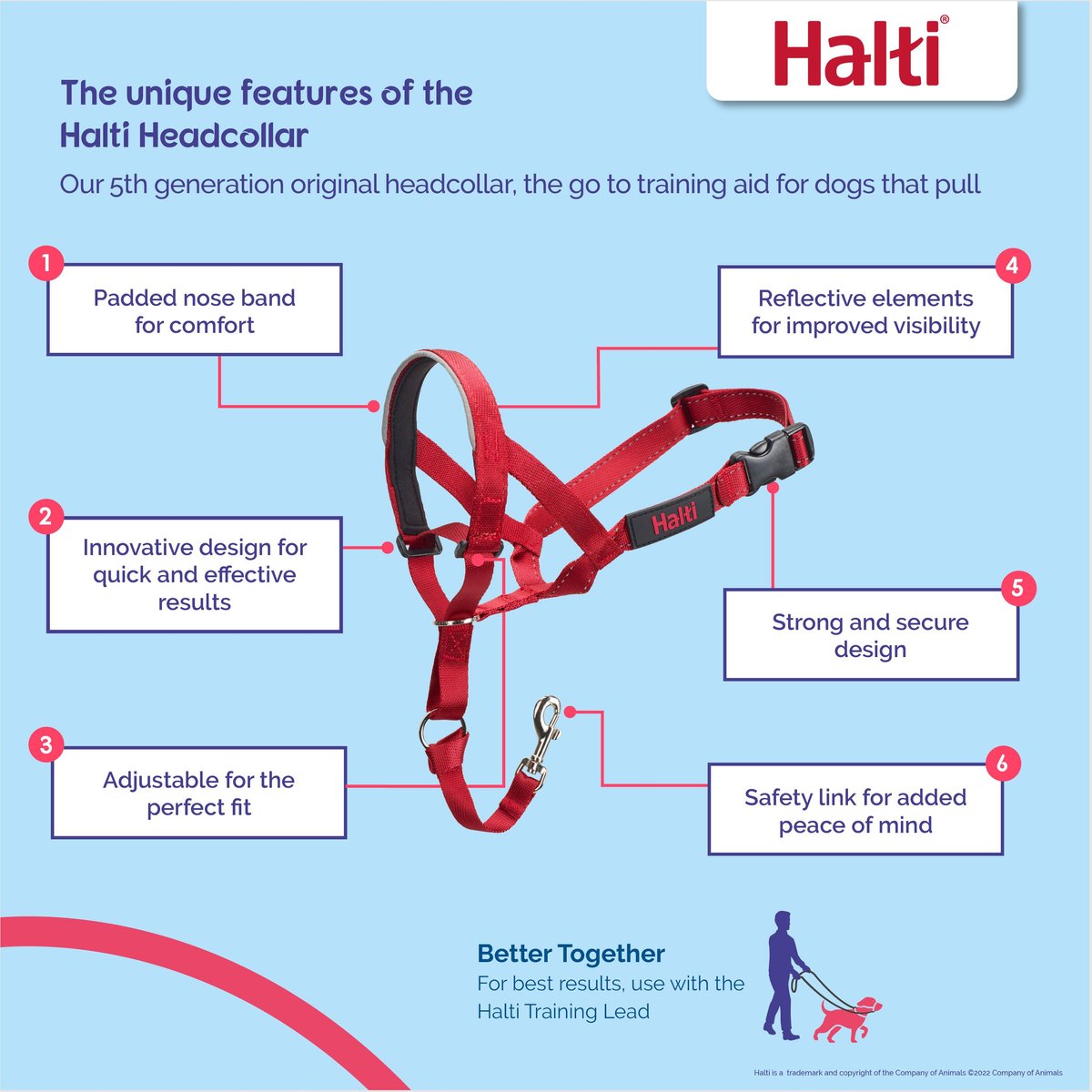 Halti 2024 headcollar size