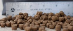 Blackwood Chicken Meal & Rice Recipe Puppy Growth Diet Dry Dog Food, 30-lb bag slide 2 of 6