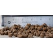Blackwood Chicken Meal & Rice Recipe Puppy Growth Diet Dry Dog Food