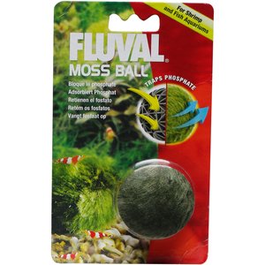 Fluval Moss Ball Aquarium Plant
