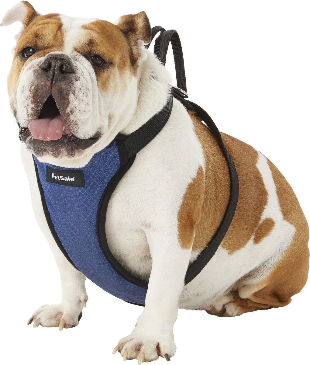 PETSAFE Happy Ride Car Safety Dog Harness, Large 15 to 33in chest