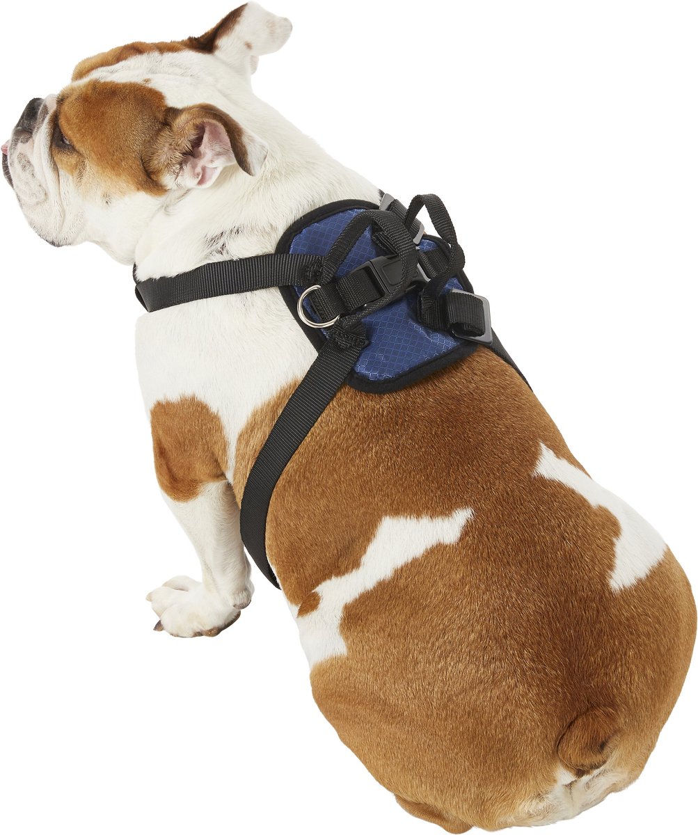PETSAFE Happy Ride Car Safety Dog Harness, Large 15 to 33in chest