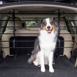 Dog Barriers for Cars SUVs Low Prices Free Shipping Chewy