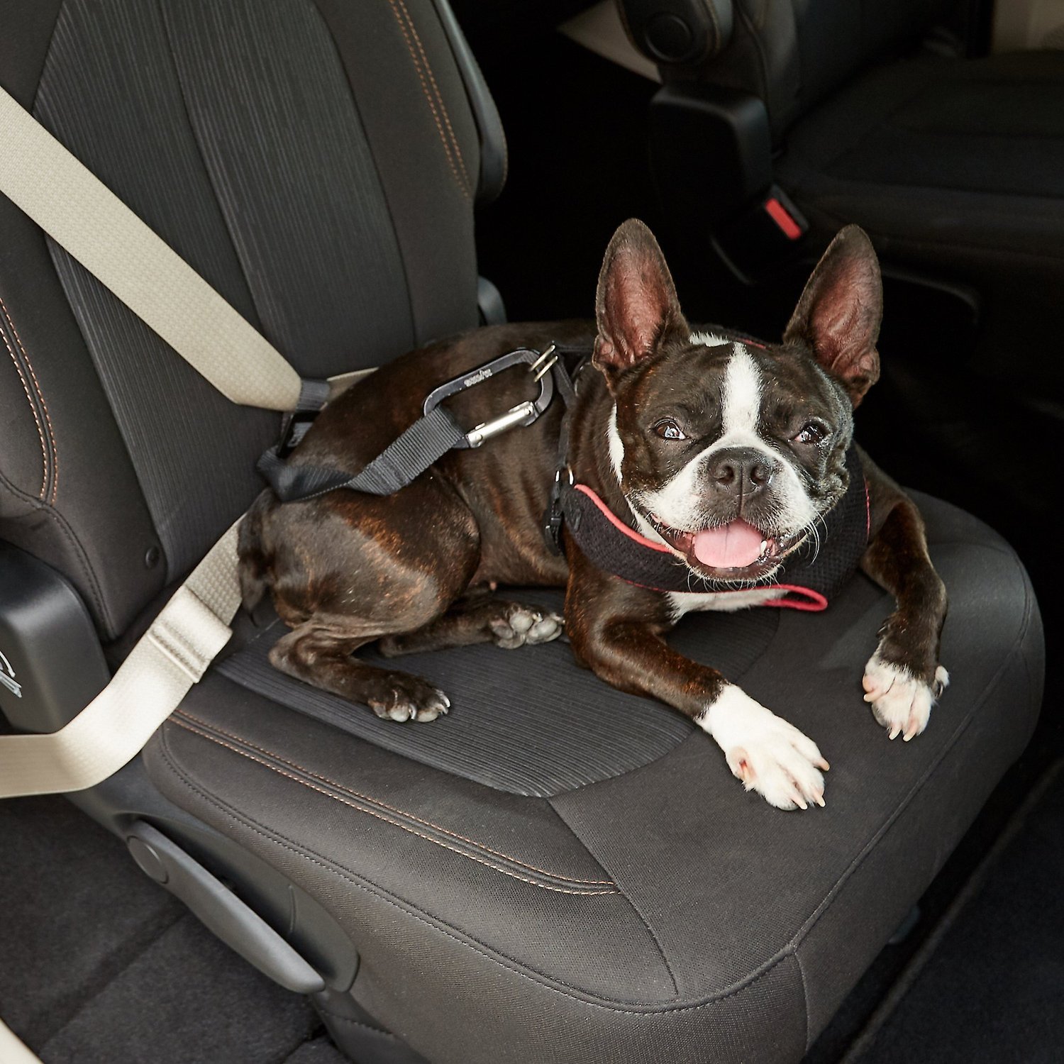 petsafe seat belt