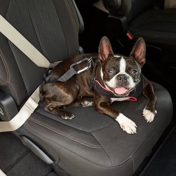 Dog Seat Belt Strap PetSafe Happy Ride Seat Belt Tether 