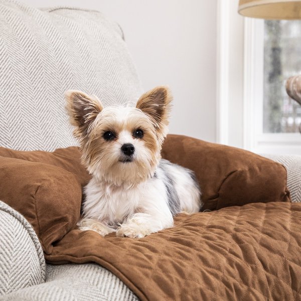 chewy sofa covers