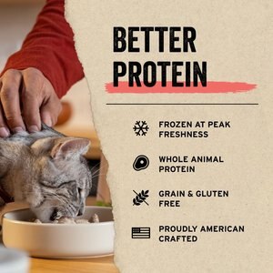 Vital Essentials Chicken Giblets Freeze-Dried Raw Cat Treats, 1-oz bag