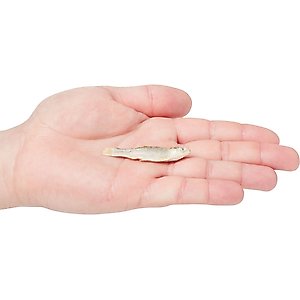 Vital Essentials Minnows Freeze-Dried Raw Cat Treats, 0.5-oz bag