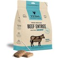 Vital Essentials Beef Mini Patties Freeze-Dried Raw Dog Food, 14-oz bag