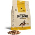 Vital Essentials Duck Mini Nibs Entree Freeze-Dried Raw Dog Food, 14-oz bag
