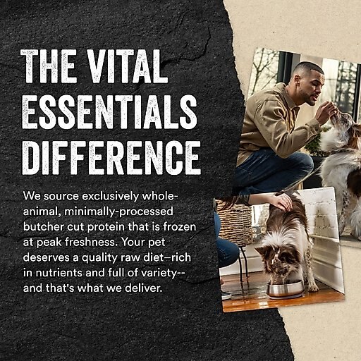 Vital Essentials Minnows Freeze-Dried Raw Dog Treats, 2.5-oz bag