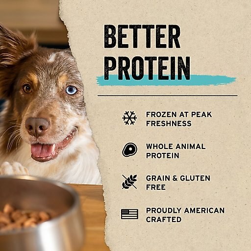 Vital Essentials Salmon Bites Freeze-Dried Raw Dog Treats, 2.5-oz bag